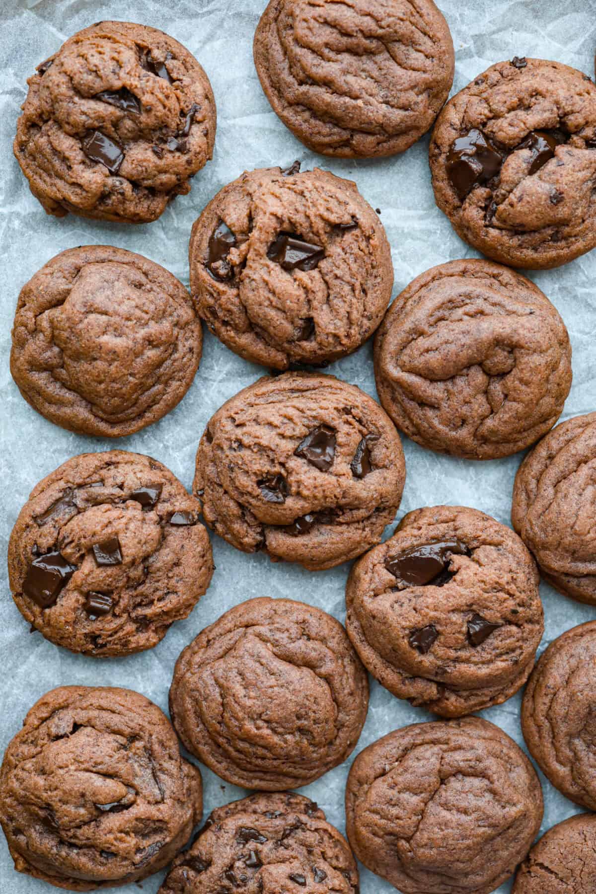 Chocolate Pudding Cookies are soft, chewy, and irresistibly delicious! They are quick and easy to bake and will be a huge hit with anyone who tries them! Cooked chocolate pudding cookies on parchment paper. Some with chocolate chunks, some without.
