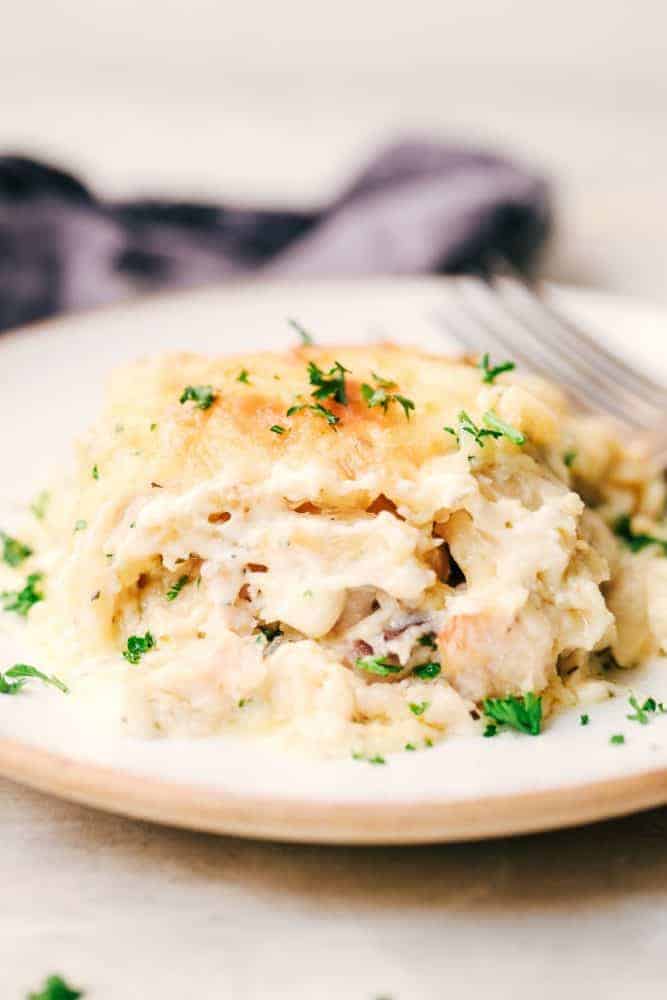 Chicken Alfredo Roll Ups are made with the most amazing homemade Alfredo sauce and rolled up with chicken, sauce, and cheese. These are one of the best meals you will ever make! Chicken Alfredo Roll Up on a white plate.