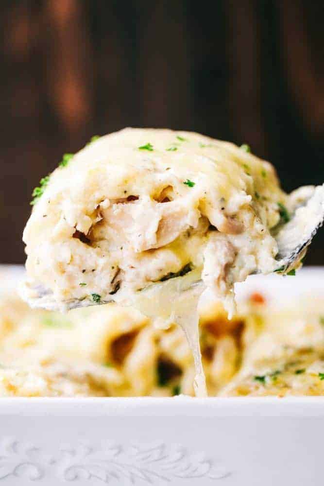 Chicken Alfredo Roll Ups are made with the most amazing homemade Alfredo sauce and rolled up with chicken, sauce, and cheese. These are one of the best meals you will ever make! A fork getting a bite of Chicken Alfredo Roll up.