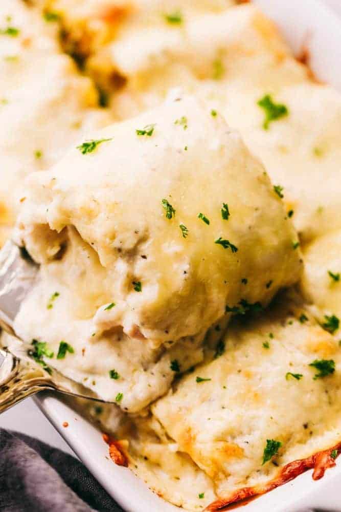 Chicken Alfredo Roll Ups are made with the most amazing homemade Alfredo sauce and rolled up with chicken, sauce, and cheese. These are one of the best meals you will ever make! Close up of Chicken Alfredo Roll Up.