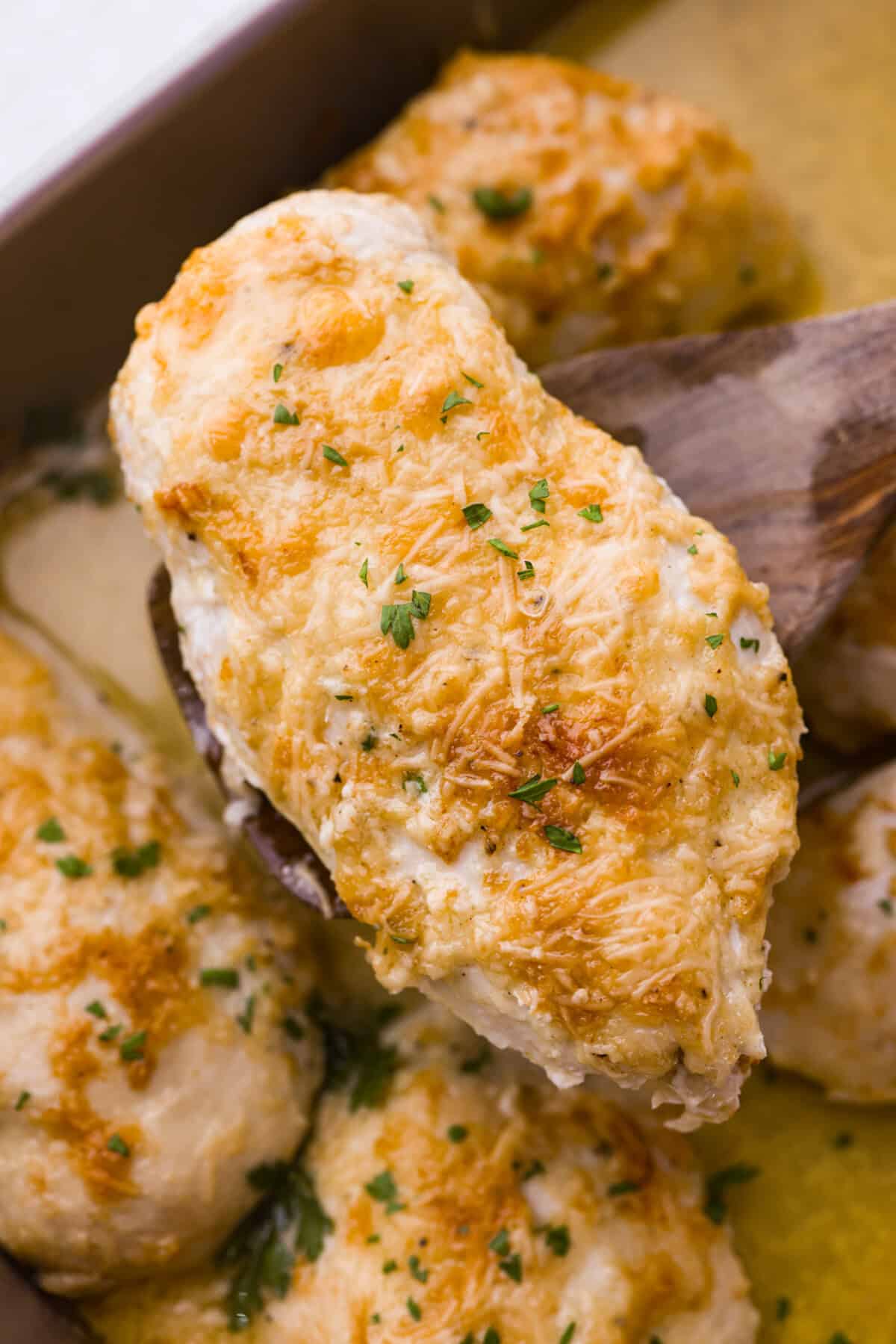 Parmesan baked chicken is so tender and juicy on the inside with a wonderful cheesy exterior. Your family will love the intense flavors, and you will love how quickly and easily this comes together! With only six ingredients and 10 minutes of prep, dinner will be served in no time! Close up shot of baked parmesan chicken.