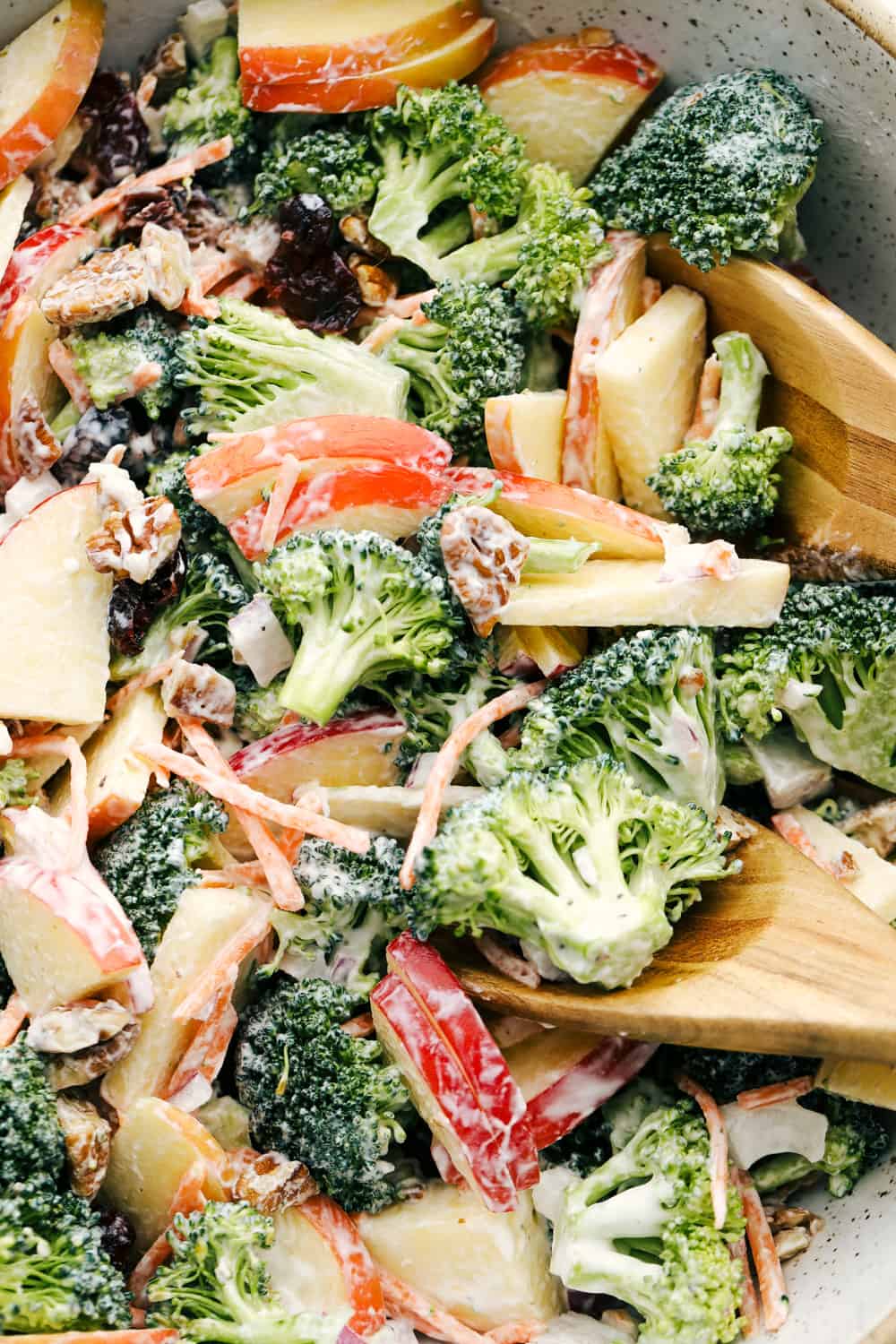 Broccoli, pecans, cranberries, carrots and apples come together to make an amazing salad with delicious flavors and textures. The creamy dressing on top makes this salad absolutely incredible! Upclose picture of broccoli apple salad with pecans, raisins and dressing.