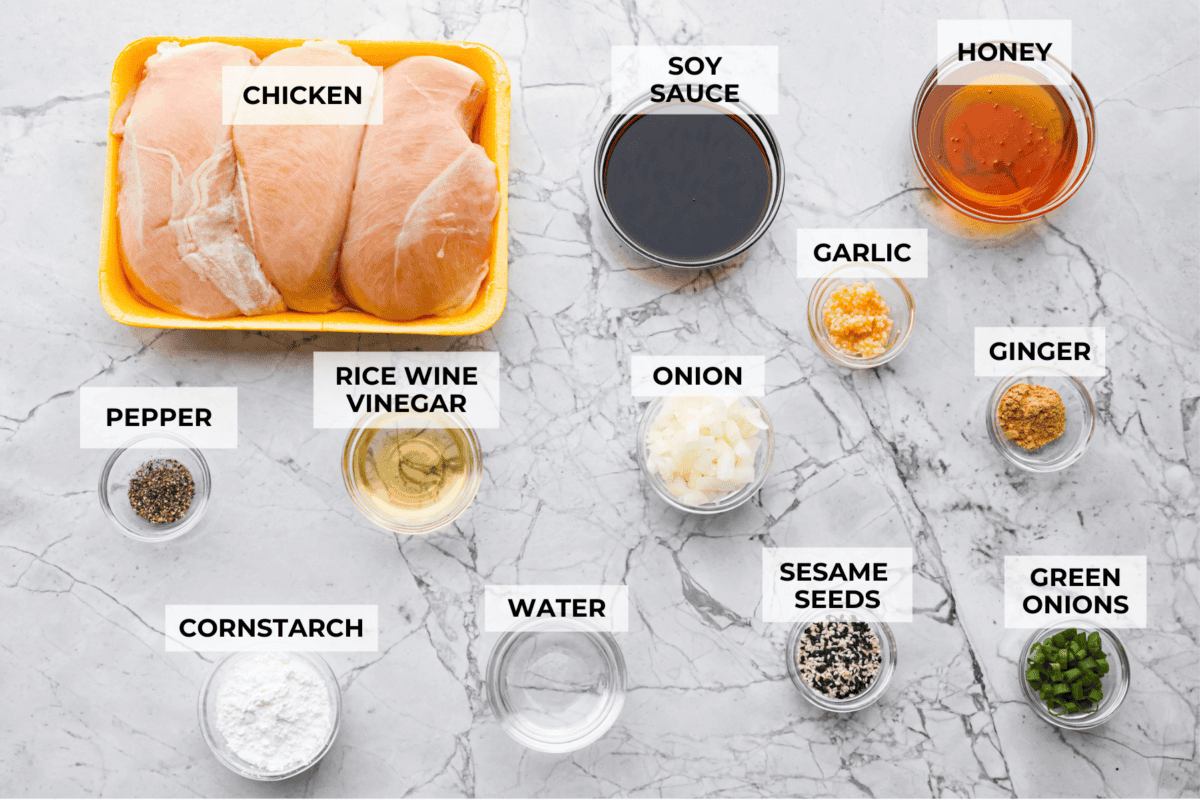 This slow cooker honey teriyaki chicken is so easy to throw together, and the flavor is out of this world! The chicken cooks to perfection and will be one of the best things you'll ever make! Overhead shot of labeled ingredients.