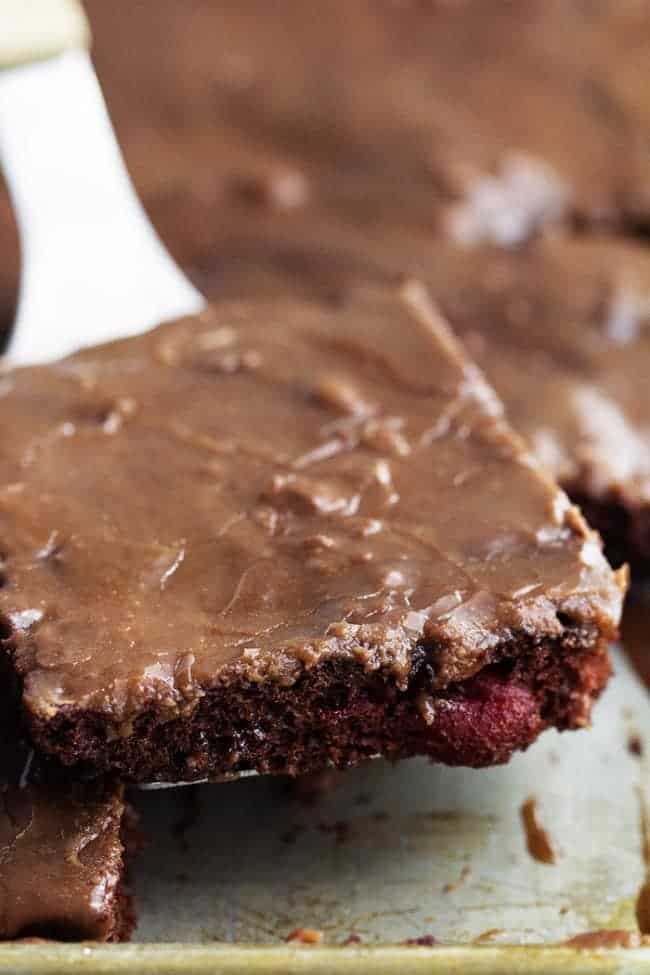 A moist and perfect chocolate sheet cake with cherries hidden inside. This cake is so easy to throw together and the perfect crowd pleaser! close up on a square of cherry chocolate sheet cake
