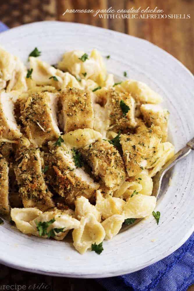 The most creamy and delicious homemade garlic alfredo shells topped with crispy parmesan garlic chicken. This is an absolutely fantastic meal that will instantly become a family favorite! parmesan garlic crusted chicken with creamy garlic alfredo shells on a white plate.