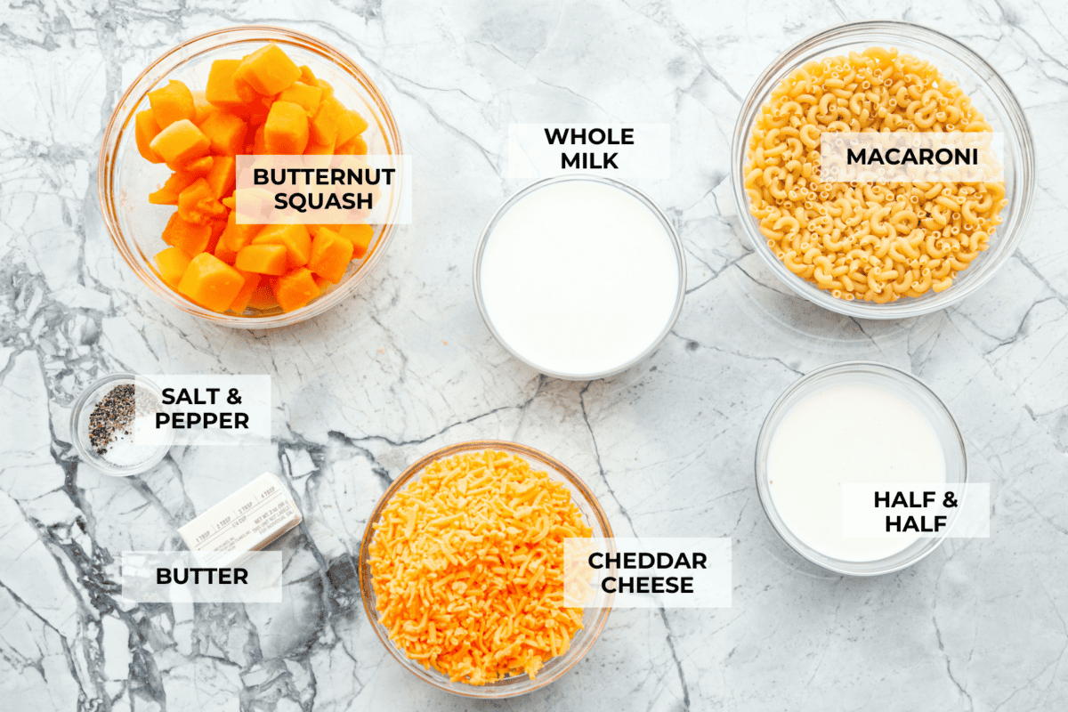 This cheesy butternut squash pasta recipe is loaded with cozy fall squash and ooey, gooey cheese,ย making it a perfect meal to warm up to on crisp fall evenings. Even better, it can be ready in less than an hour! Overhead shot of labeled ingredients.
