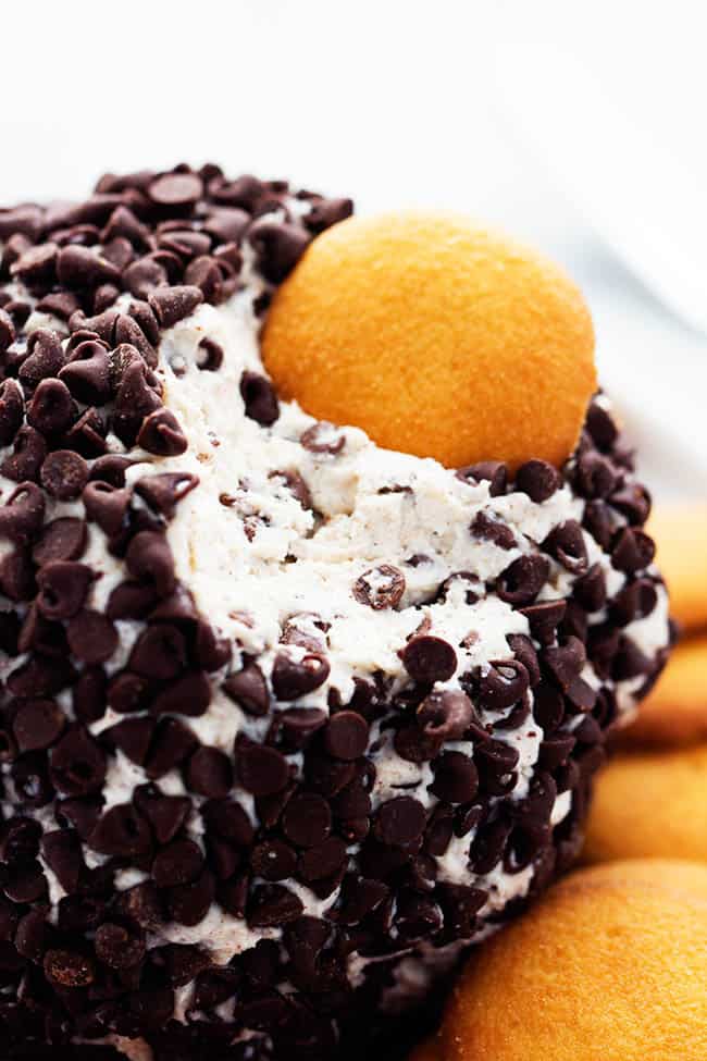 All of the delicious things about cannoli filling combine in an amazing and easy to make cheeseball! Cannoli Cheeseball with Vanilla Waffers
