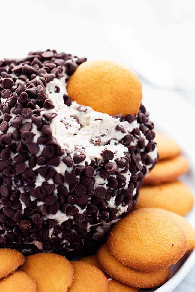 All of the delicious things about cannoli filling combine in an amazing and easy to make cheeseball! Cannoli Cheeseball with Vanilla Waffers