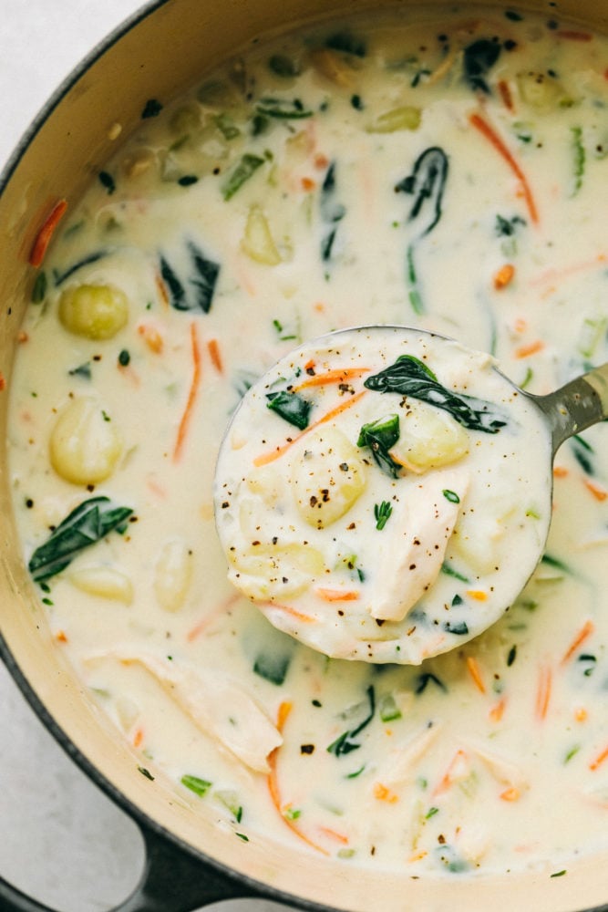 Creamy Chicken Gnocchi Soupย has a thick and rich broth with shredded carrots, celery, chopped spinach, gnocchi and chicken hidden throughout. This tastes even better than the Olive Garden! Pot full of chicken gnocchi soup with a ladle.