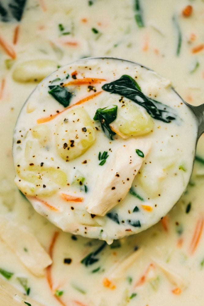 Creamy Chicken Gnocchi Soupย has a thick and rich broth with shredded carrots, celery, chopped spinach, gnocchi and chicken hidden throughout. This tastes even better than the Olive Garden! Chicken gnocchi soup with a ladle.