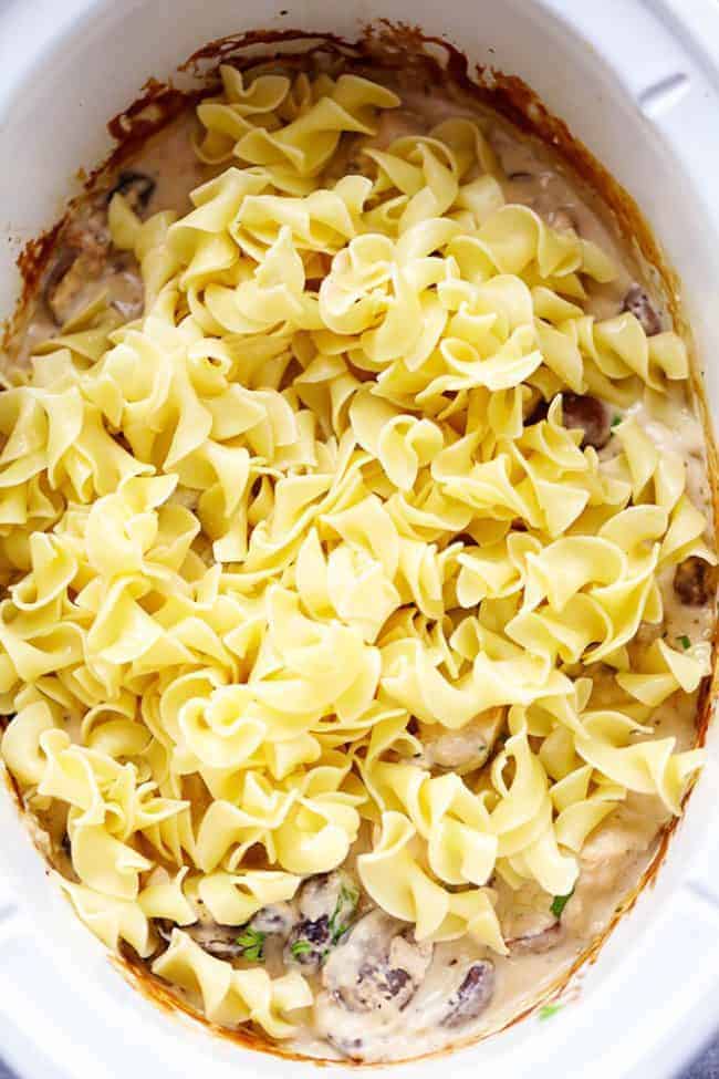 Slow cooker chicken and mushroom stroganoff takes just minutes to throw in the crock pot! It is so creamy and delicious and will become an instant family favorite! Stroganoff with egg noodles over top in the slow cooker.