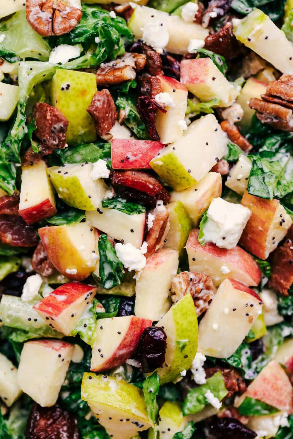 Autumn Chopped Salad with Creamy Poppyseed Dressing is all of your fall salad dreams come true! Crisp chopped apples, pears, romaine lettuce, crunchy pecans, bacon, cranberries and feta cheese combine in a creamy dressing to bring you one unforgettable salad!ย Autumn Chopped Salad with Creamy Poppyseed Dressing close up