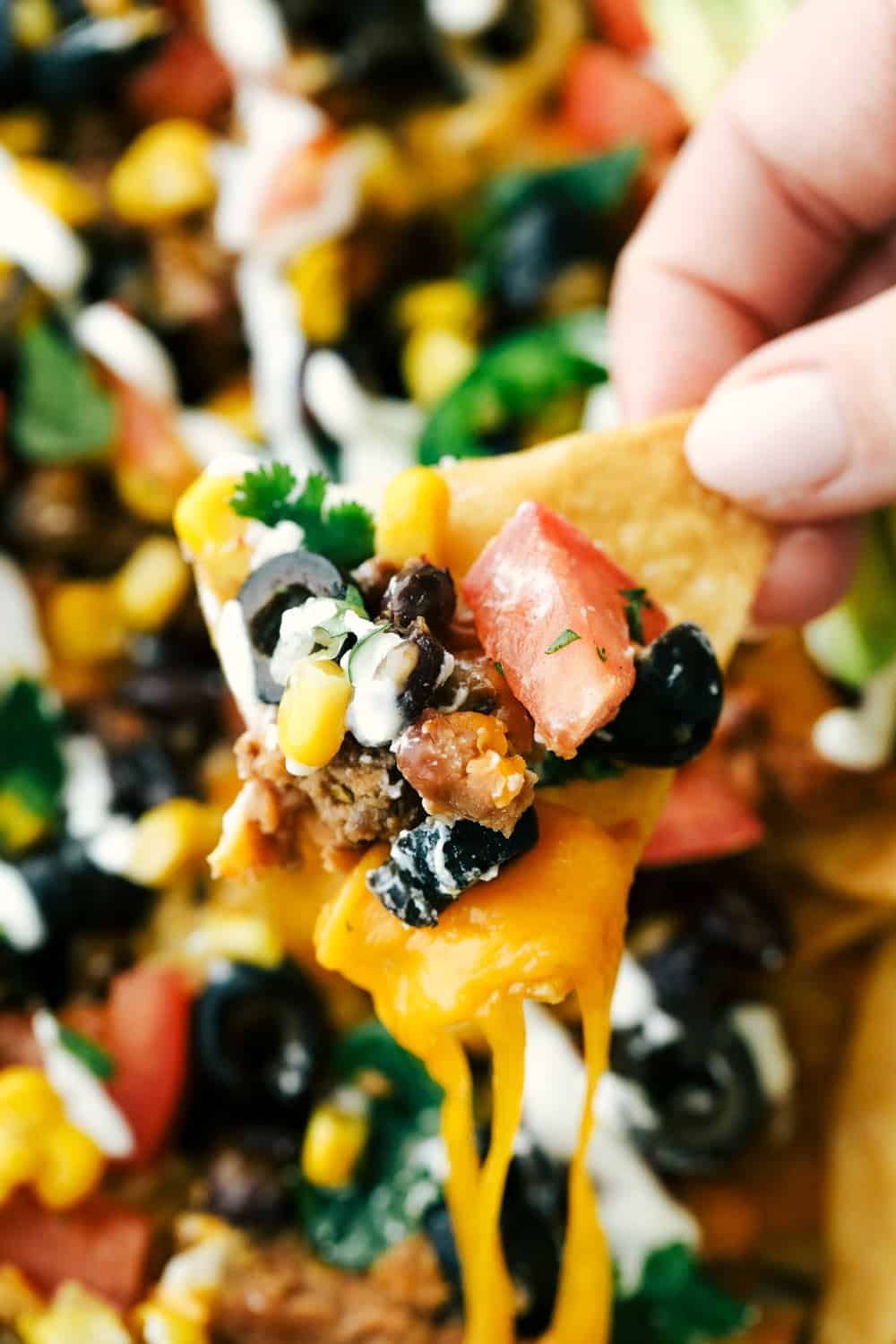 Oven Baked Sheet Pan Nachos Recipe are filled with a layer of chips, ground beef, refried beans, black olives, chopped tomatoes, corn, cheese sprinkled over top then baked to perfection! The possibilities are endless! Unclose photo of a nacho chip with all the toppings on one of them.