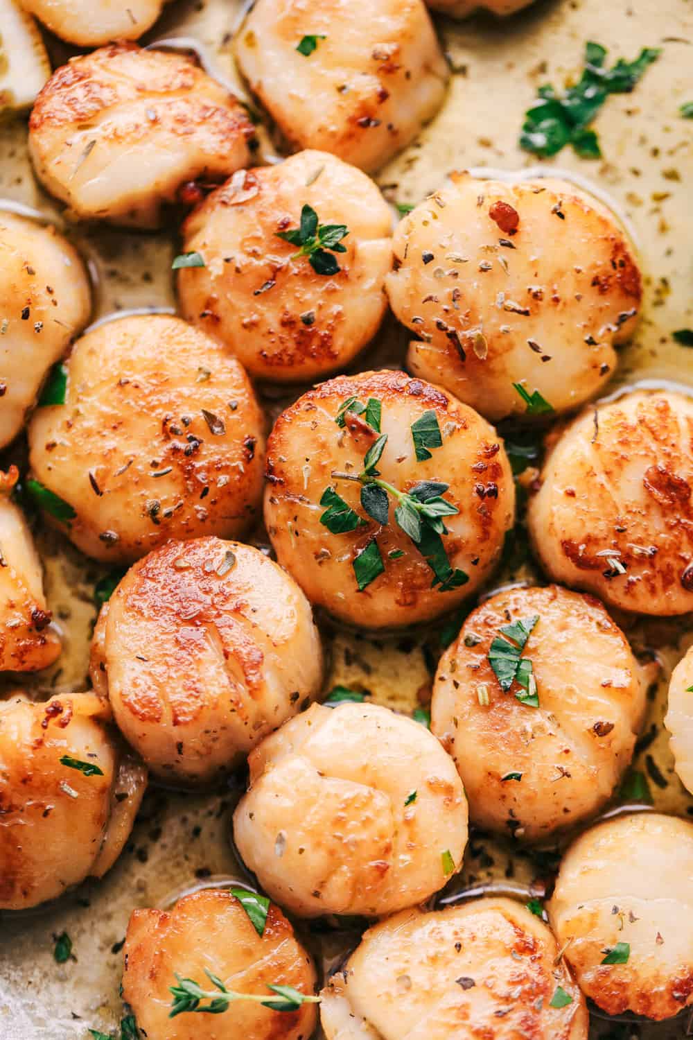 Garlic Butter Herb Scallops are pan seared and have the best buttery garlic herb sauce. This is a quick and simple meal that tastes straight from a restaurant!ย Close up on scallops in pan.