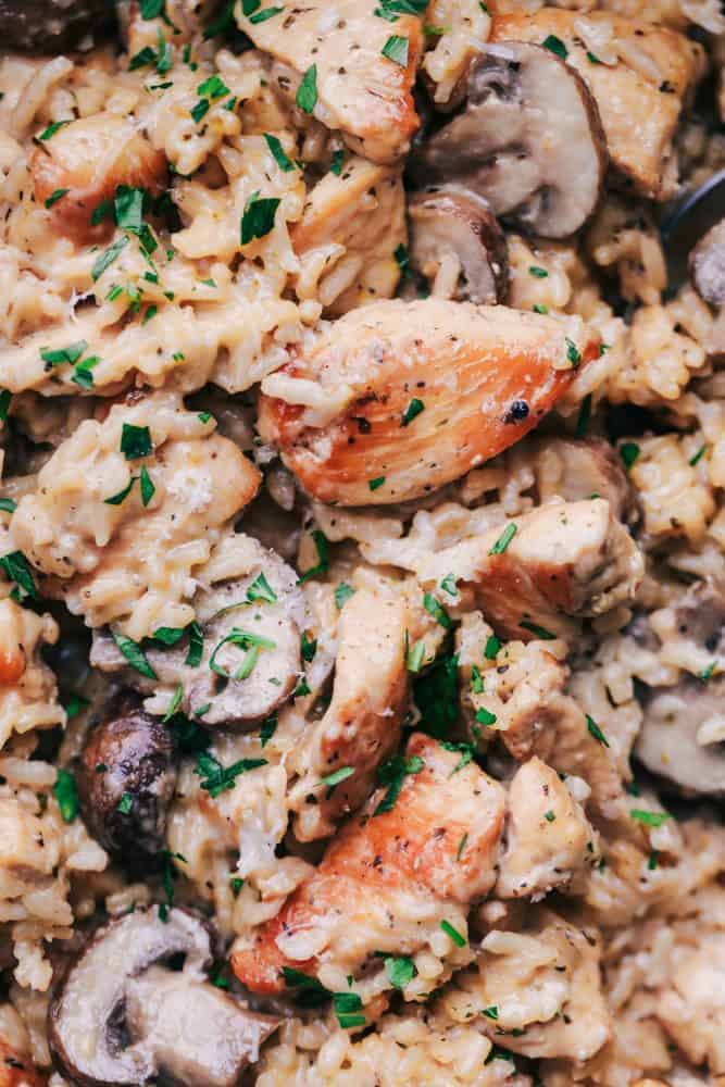 One Pot Creamy Parmesan Chicken with Mushroom Rice will be one of the best things you will ever eat! All you need is one pot to create an amazingly creamy and delicious meal that is ready in under 30 minutes! Close up of Creamy Parmesan Chicken with Mushroom Rice.