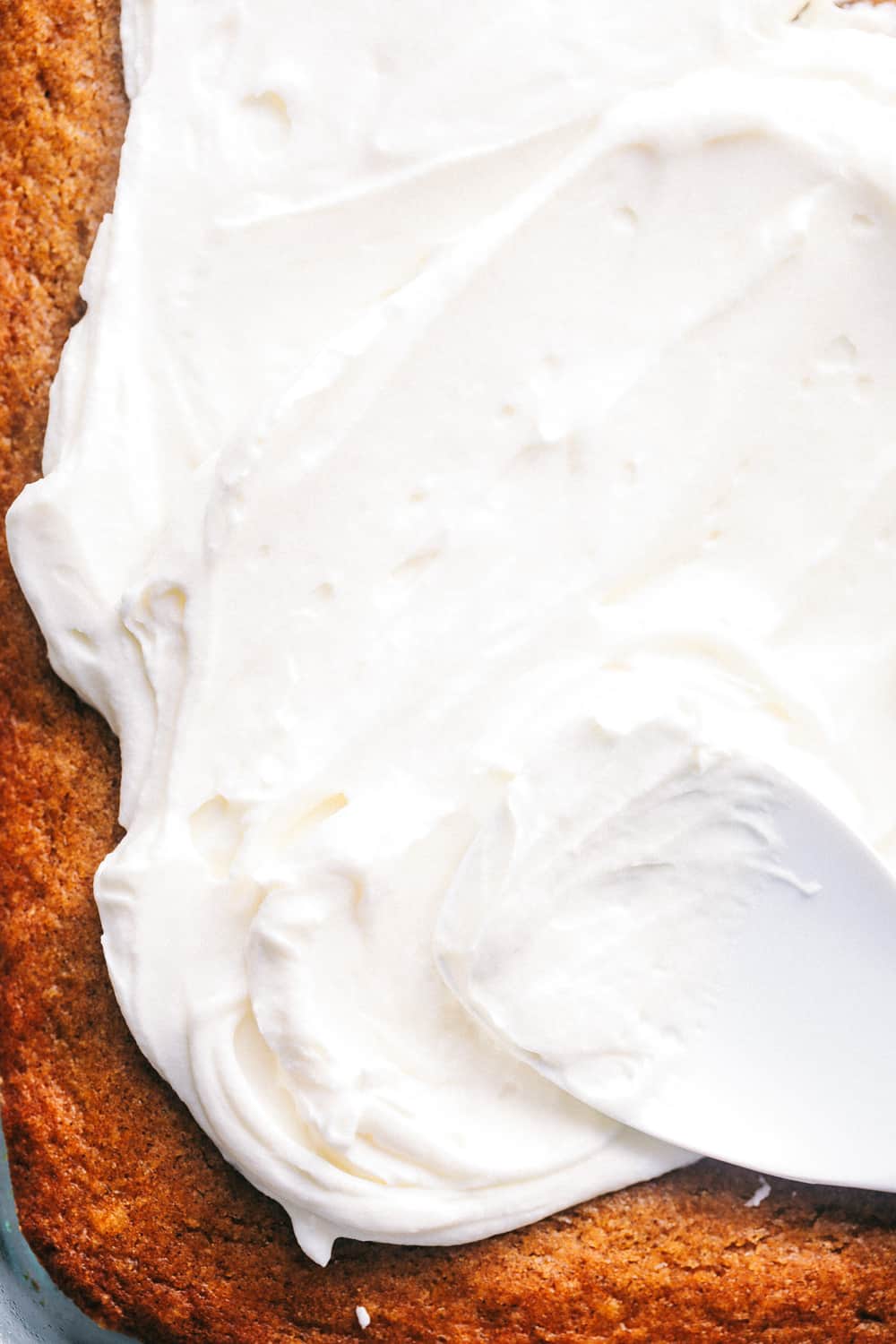 This Pumpkin Cake is the most amazing pumpkin cake you will ever make! ย Perfectly spiced and moist and topped with the most epic cream cheese whipping cream frosting! pumpkin cake up close
