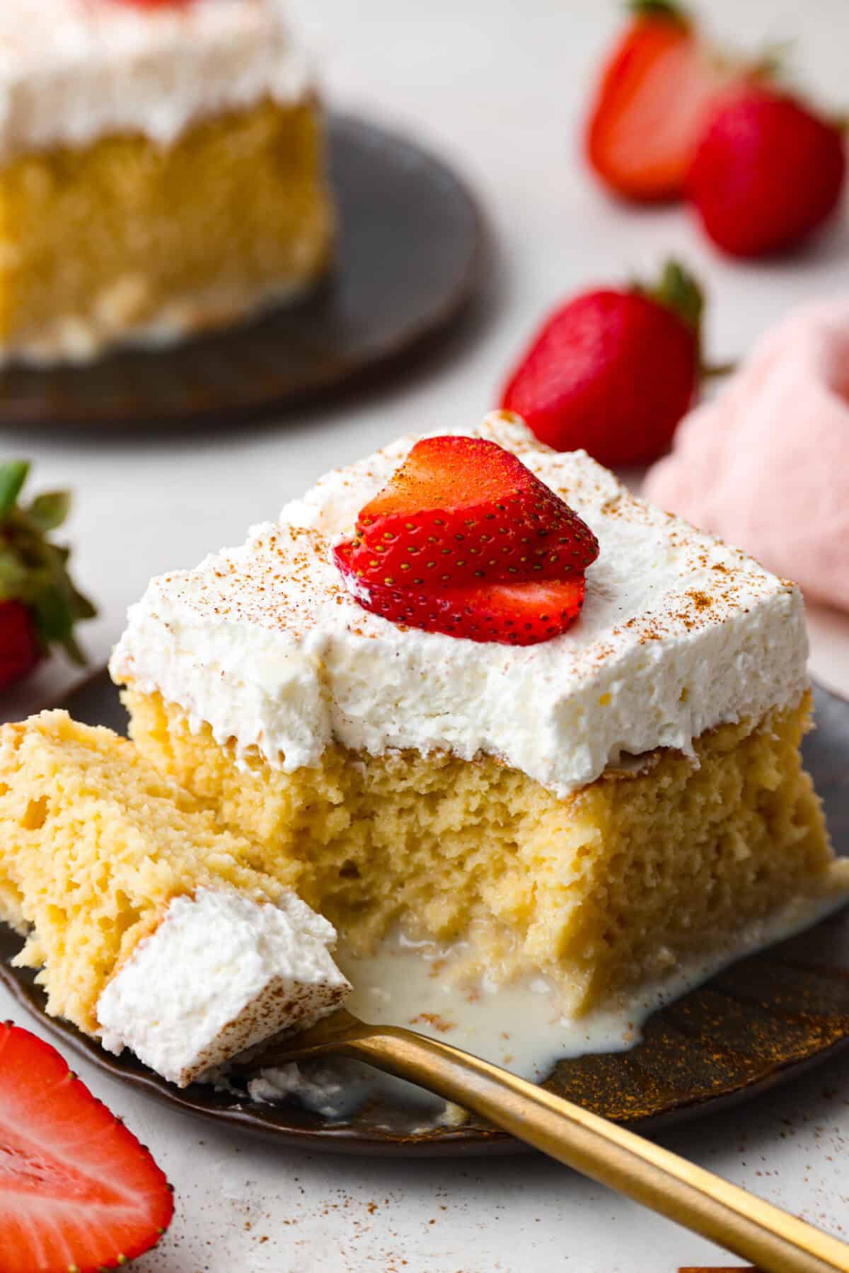 This tender Tres Leches cake is drenched in a three-milk mixture and is topped with fluffy whipped cream, cinnamon, or fresh fruit for a truly authentic Mexican dessert. Angle shot of a plated piece of tres leches cake topped with a dash of cinnamon and a couple strawberry slices.