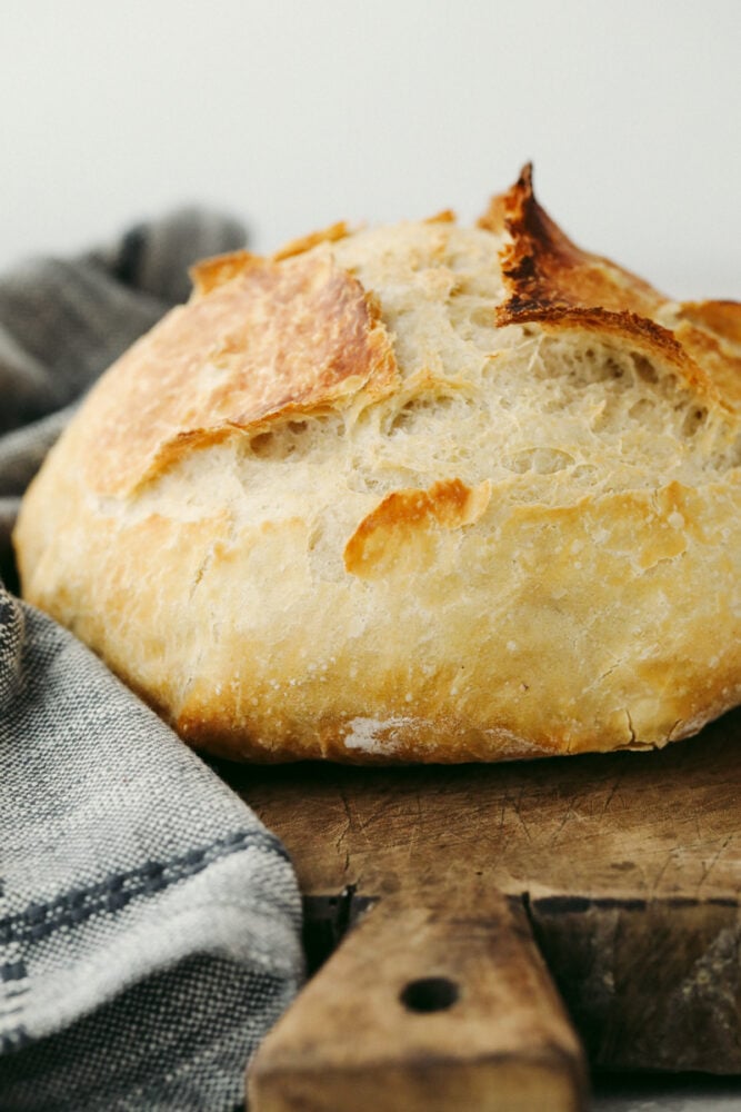 This amazing artisan no-knead bread recipe will make you feel like a rock-star baker! It has a perfectly crispy crust with a soft and chewy texture on the inside. Plus, it couldn't be easier to make from home! A loaf of bread.