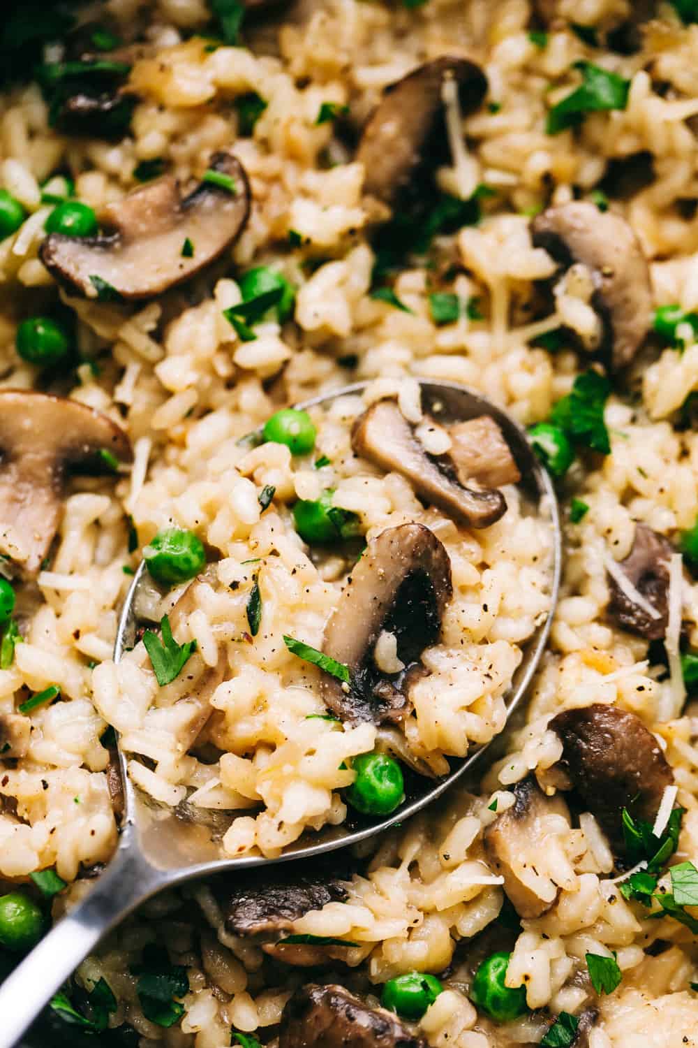 Mushroom Risottoย is soft short grained rice with flavorful button mushrooms, crunchy peas combined to make one of the Best side dishes yourย family will love! Theย flavor combination is amazing!ย Close up on mushroom risotto.
