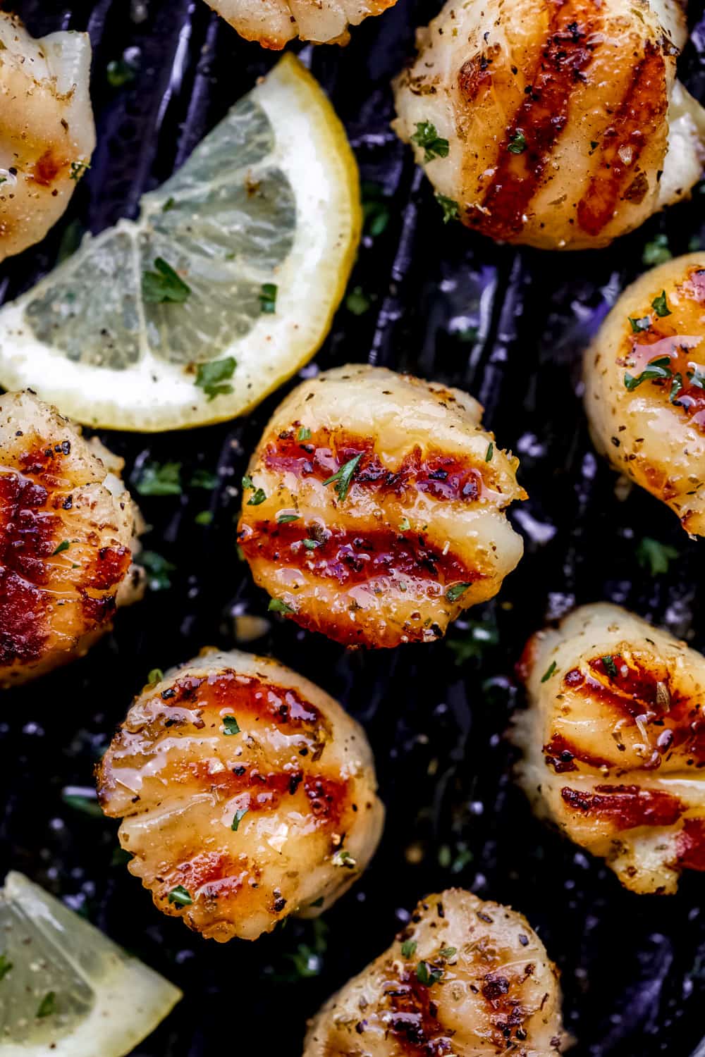 Grilled Lemon Garlic Scallops is an eloquent dishย marinated in the juices of a lemon, hint of garlic, wrapped inย olive oil with Italian seasonings all grilled to perfection! So simple to make and ready in minutes!ย grilled lemon garlic scallops