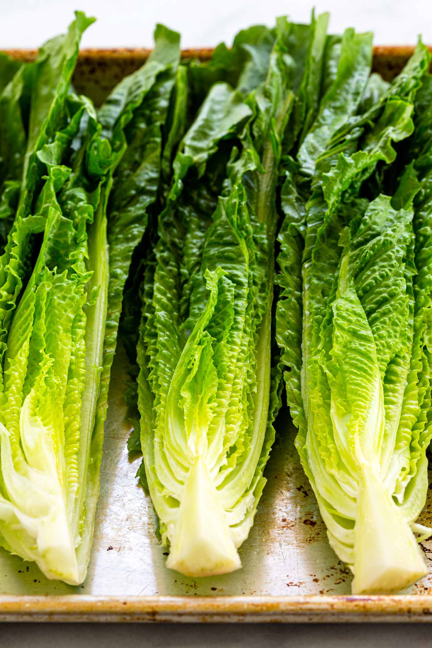 Grilled Caesar Salad with leafy sections of romaine seared on the barbecue to create a lightly charred texture then drizzled in homemade dressing. romaine lettuce