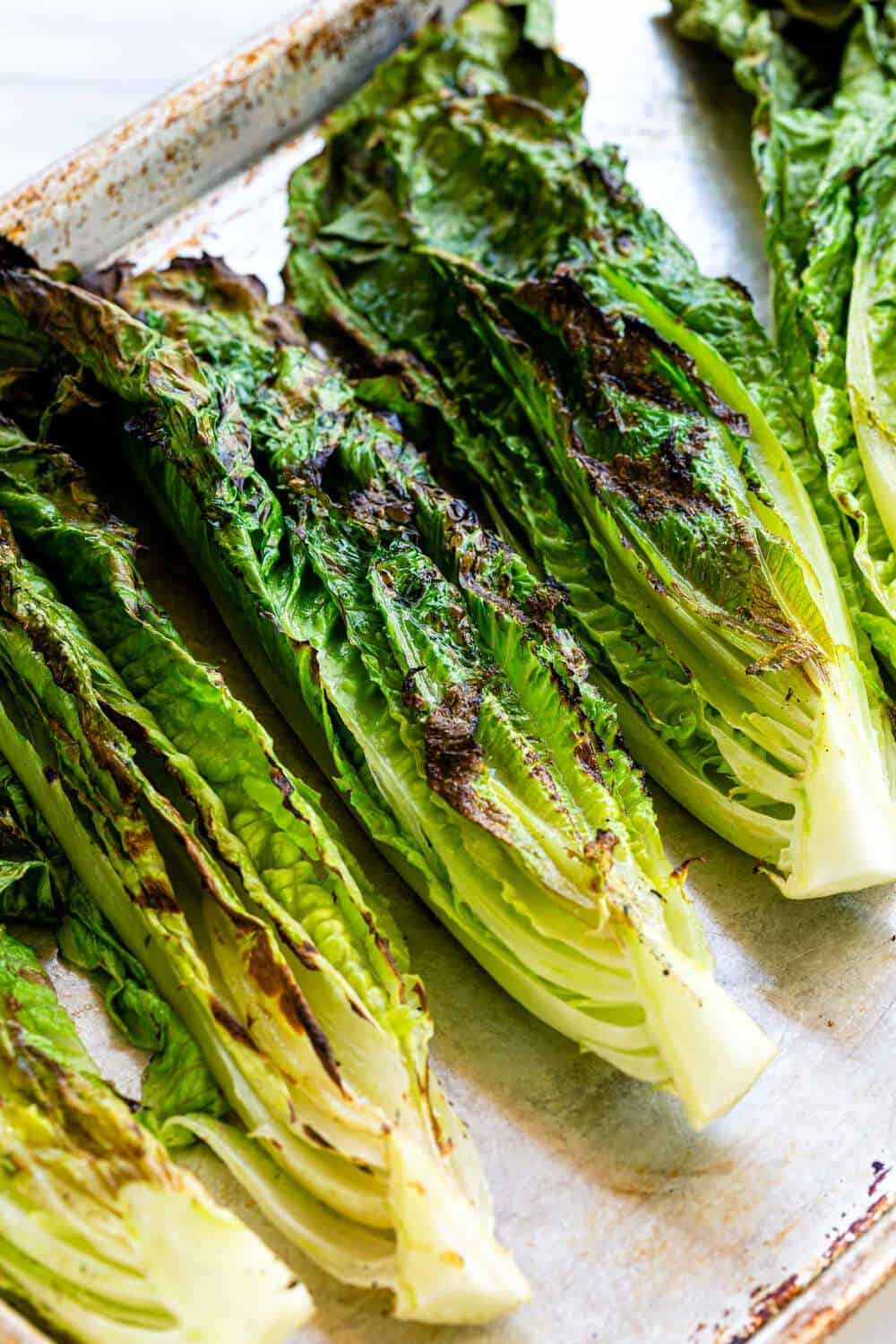 Grilled Caesar Salad with leafy sections of romaine seared on the barbecue to create a lightly charred texture then drizzled in homemade dressing. grilled romaine