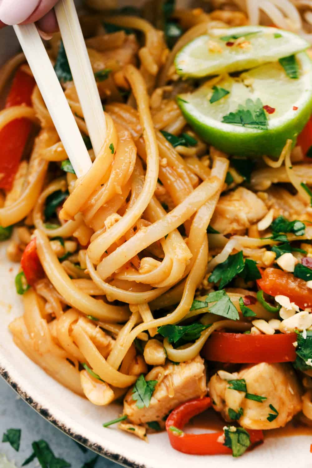 ย Pad Thai is a Thai stir-fry dish made with tender rice noodles, cooked shrimp, crunchy, warm peanuts, scrambled egg and bean sprouts all mixed together with a creamy sweet and spicy sauce. It's everyone's favorite Thai dish! Pad Thai noodles up close photos.