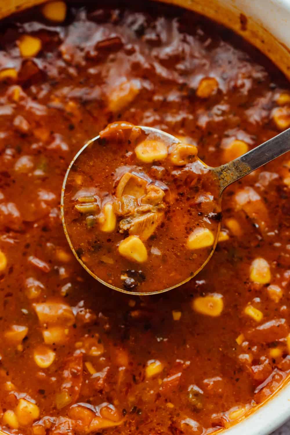 Chicken Tortilla Soup is a hearty Mexican soup that really warms the soul. Topped with fried tortilla chips, its packed with flavour and will be a great addition to your dinner rotation! Closeup of a ladleful of chicken tortilla soup