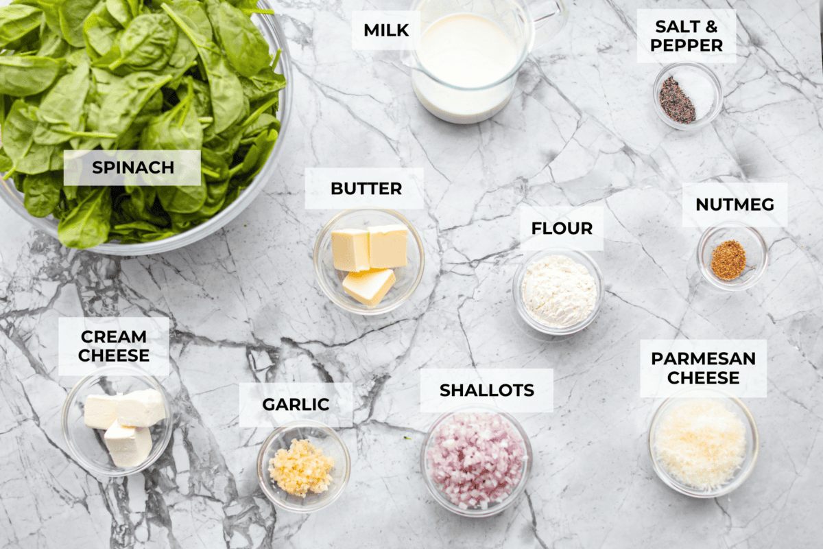 Creamed Spinach is a classic and delicious side dish! It is loaded with fresh spinach and has the creamiest garlic parmesan sauce. Serve it alongside any meal! Ingredients listed and labeled to make creamed spinach.
