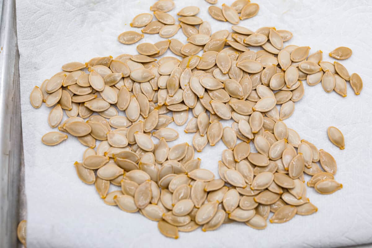 Crazy Good Roasted Pumpkin Seeds are a healthy and delicious snack you can enjoy while carving pumpkins this Halloween season. They are packed with essential vitamins and antioxidants that help you sleep better, boost your immune system, and promote heart health. Overhead shot of seeds drying on a paper towel.