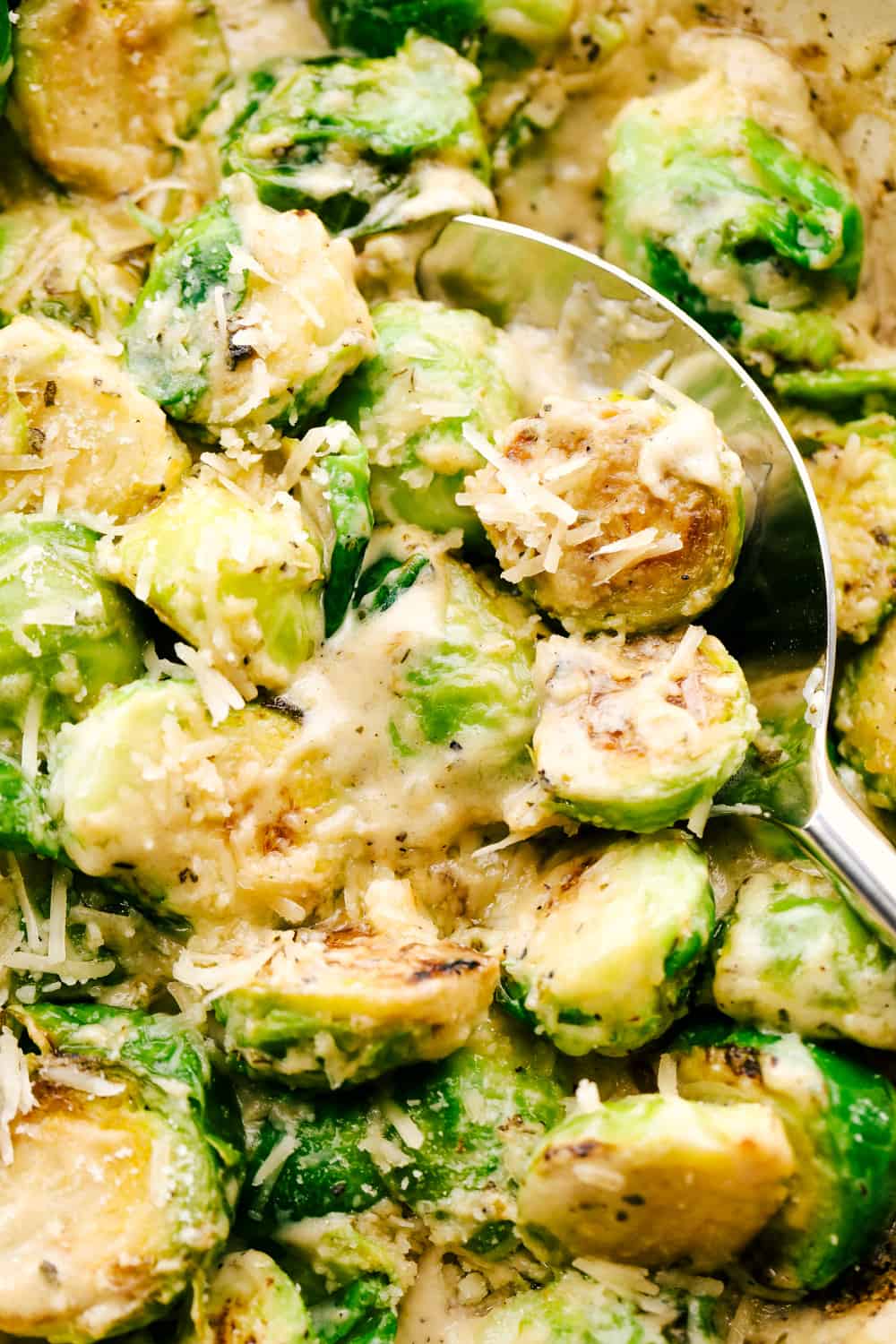 Creamy parmesan garlic Brussels sprouts sauteed and smothered in a rich and cheesy parmesan garlic sauce. Elevate your Brussels sprouts with this easy and delicious side dish! Close view of creamy parmesan garlic brussels sprouts with a serving spoon.