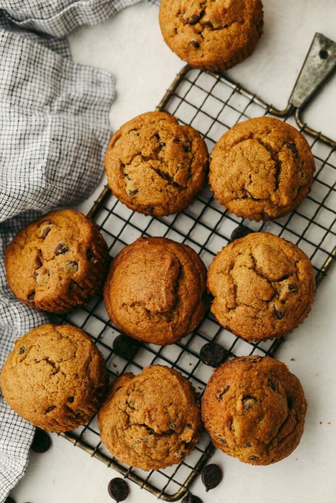 Pumpkin chocolate chip muffins are moist, chocolatey, and topped off with a sprinkling of sugar! The spices and pumpkin puree flavors make these perfect for cooler weather! Muffins on a cooling rack.
