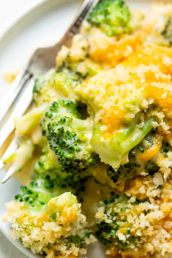 Broccoli Casserole. This cheesy, casserole is loaded up with fresh tender broccoli florets, baked in a homemade creamy cheese sauce, and topped with crispy buttered Panko crumbs. This casserole is sure to be a highlight! broccoli casserole on a plate