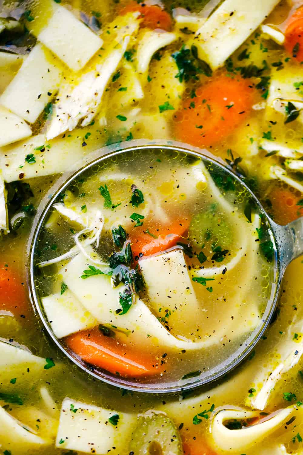 This is literally the BEST chicken noodle soup full of chicken, sliced carrots,ย celery, and tender wide noodles. A classic homemade soup seasoned and cooked to perfection. It's the perfect warm and comforting soup for the winter! Close view of chicken noodle soup in a ladle.