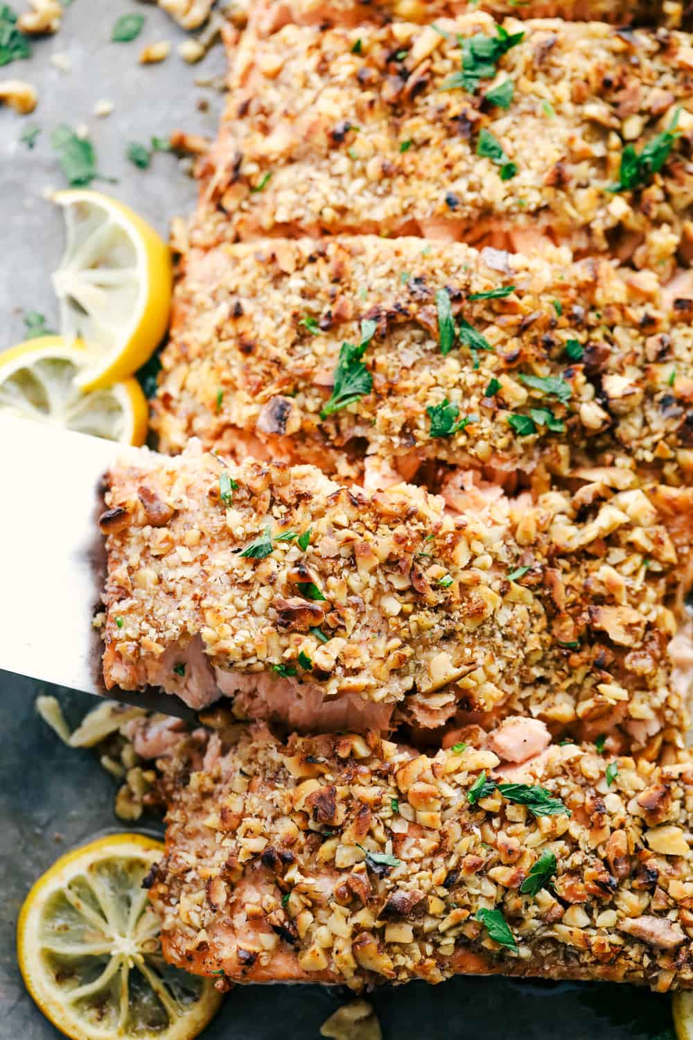 Walnut Crusted Maple Salmon is a savory salmon dish that is coated in a sweet maple syrup, delicious Dijon mustard coated with a thick walnut crust all baked to perfection. Baked in under 30 minutes! Walnut crusted maple salmon cut into sections and being separated.
