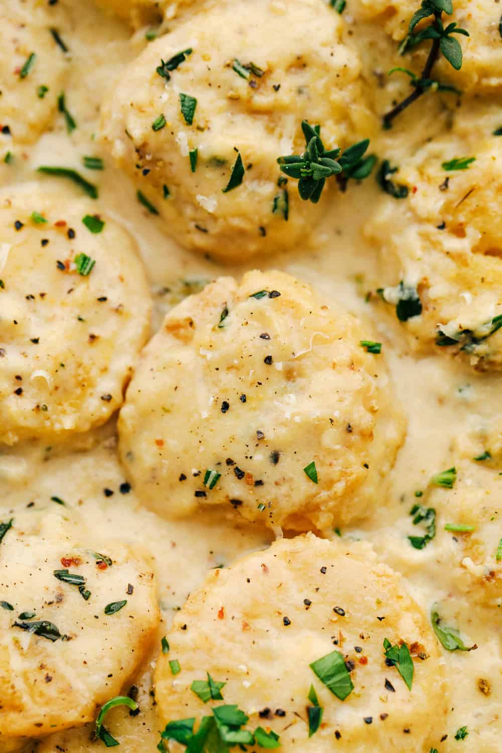 Creamy Lemon Parmesan Scallops are insanely good! These fresh scallops are lightly seasoned, then seared in a creamy, light lemon and parmesan sauce that coats each of the scallops made all in one pan. Creamy Lemon Parmesan Scallops up close photo.