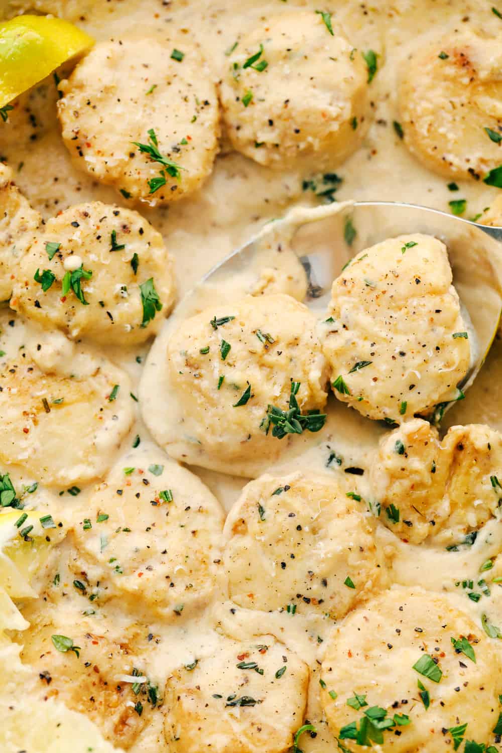 Creamy Lemon Parmesan Scallops are insanely good! These fresh scallops are lightly seasoned, then seared in a creamy, light lemon and parmesan sauce that coats each of the scallops made all in one pan. Creamy lemon parmesan scallops photo with a spoon.