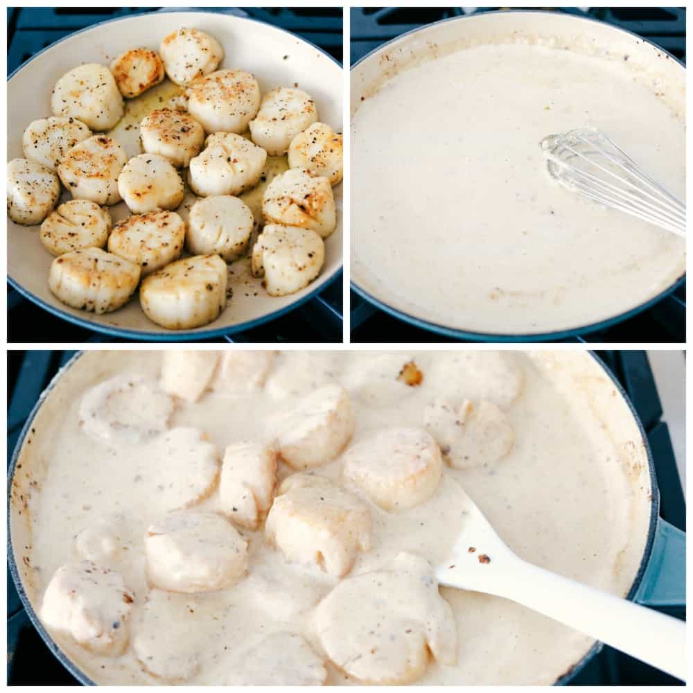 Creamy Lemon Parmesan Scallops are insanely good! These fresh scallops are lightly seasoned, then seared in a creamy, light lemon and parmesan sauce that coats each of the scallops made all in one pan. Creamy lemon parmesan scallop process photos of the scallops searing, making the sauce and adding the scallops into the sauce all while being cooked.
