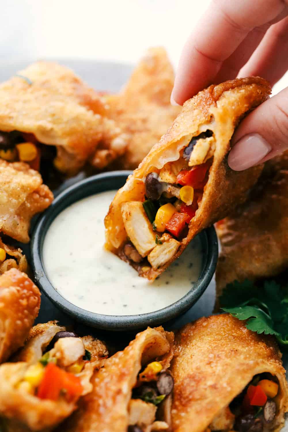 These are the BEST Southwest chicken egg rolls! It's aย colorfulย combination of corn, black beans, fresh veggies, shredded cheese, and chicken. This tasty mixture is flavored in savory southwestย seasonings then fried in a crispy egg roll wrapper. These won't last long at your next party! Southwest chicken egg roll being dipped in cilantro ranch dressing.