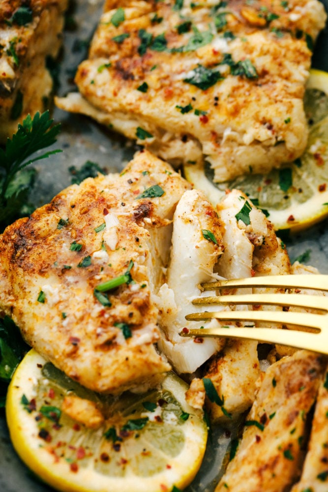 Baked Cajun Garlic Butter Cod is a tender and juicy cod filet baked in a buttery cajun seasoning with garlic cloves andย olive oil makingย this cod a flavorful andย delicious dinner. Baked to perfection in 15 minutes! Baked cajun garlic butter cod on a plate with lemon slices underneath and a fork pulling apart the flakes of cod to show the color and tenderness.