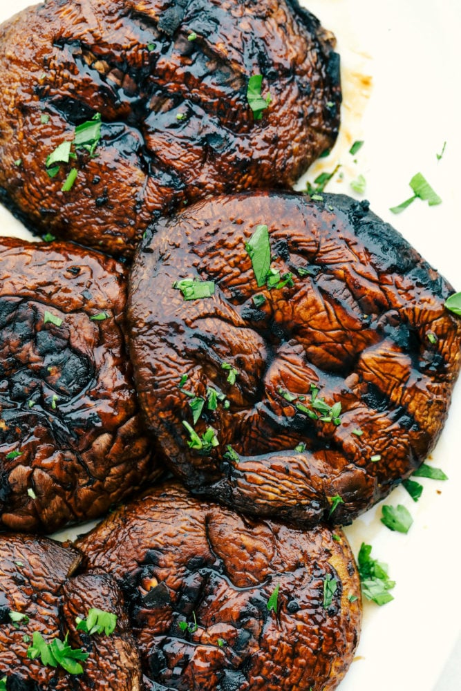 Grilled Honey Balsamic Portobello Mushrooms have deep sweet and savory flavors and a substantial hearty texture that stands up perfectly to your grill! Amazing as a grilled dinner or an appetizer, you will love the way this unique ingredient livens up your summer menu! Finished portobello mushrooms with grill marks.