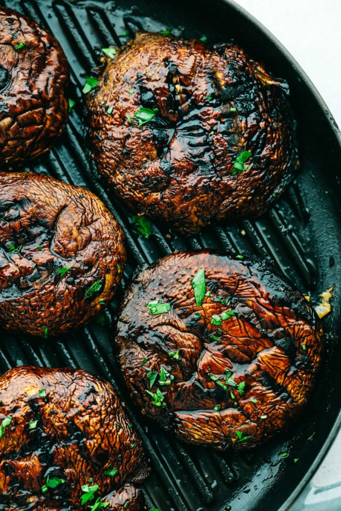 Grilled Honey Balsamic Portobello Mushrooms have deep sweet and savory flavors and a substantial hearty texture that stands up perfectly to your grill! Amazing as a grilled dinner or an appetizer, you will love the way this unique ingredient livens up your summer menu! Honey Balsalmic Portobello Mushrooms on a grill pan.