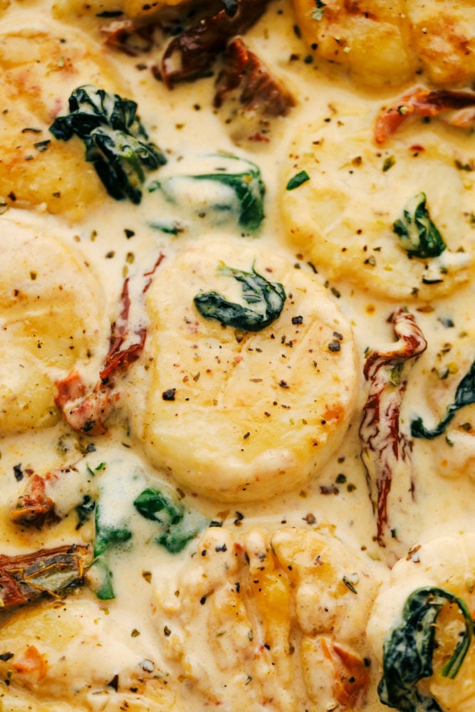 Creamy tuscan garlic scallops are infused in a savory garlic sauce that is absolutely to die for! Easy to make and filled to the brim with flavor, this is a MUST-make dinner for busy weeknights! Scallops in a creamy garlic sauce with sun dried tomatoes and spinach hidden throughout.