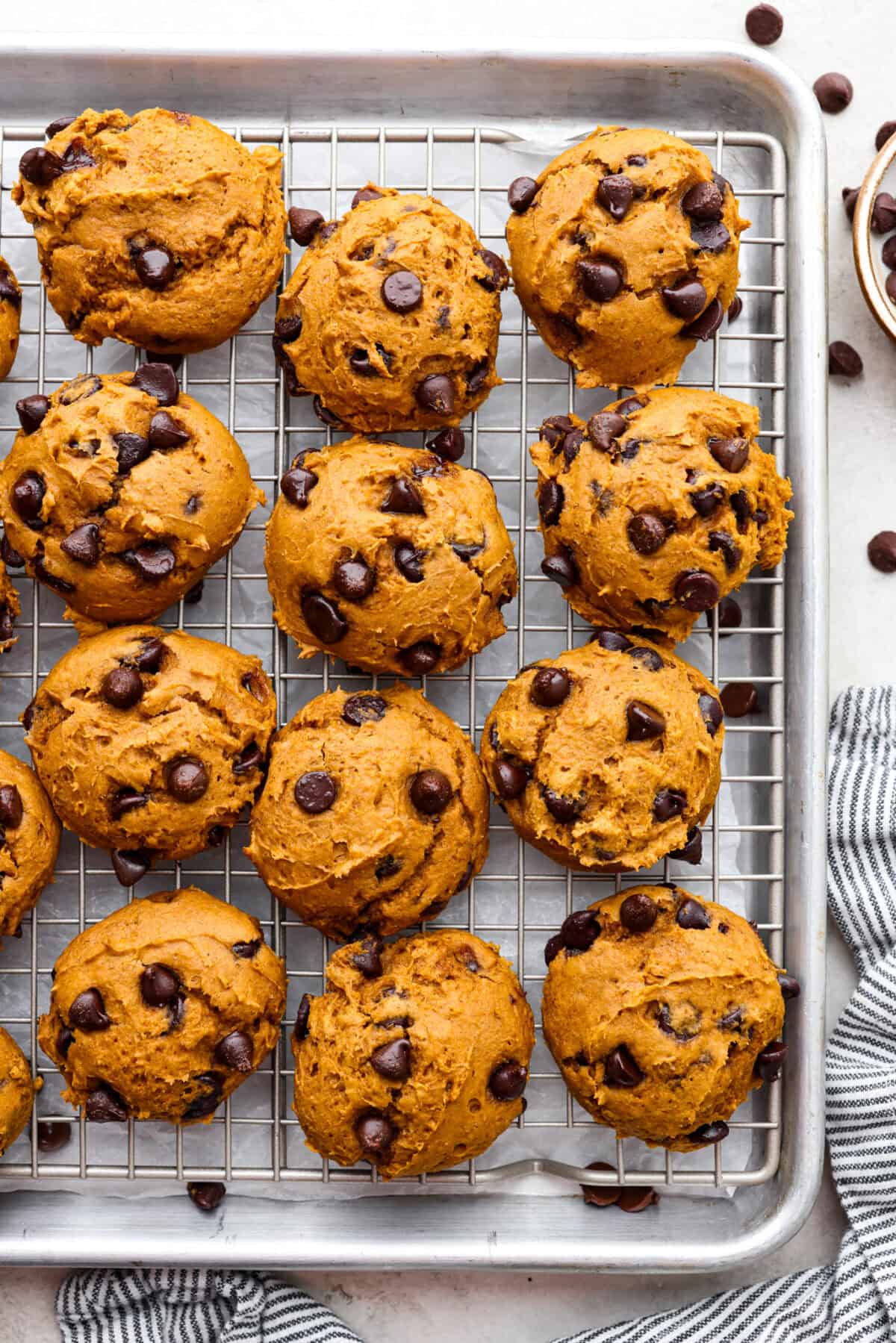 Easy as 1,2,3, these delicious pumpkin chocolate chip cookies are super quick and tasty! They are light, fluffy, and packed with pumpkin flavor and silky milk chocolate. With only three ingredients, it can’t get much easier than that! Overhead shot of pumpkin chocolate chip cookies on a cooling rack.