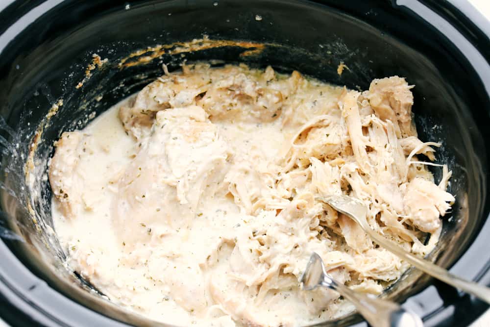 This slow cooker crack chicken (cheddar ranch chicken) is an addicting combination of chicken, cheese, bacon and ranch dressing. Cooking this in the slow cooker takes all the work out of it and makes it a super simple hearty dinner for busy days. Shredding chicken in a crock pot.