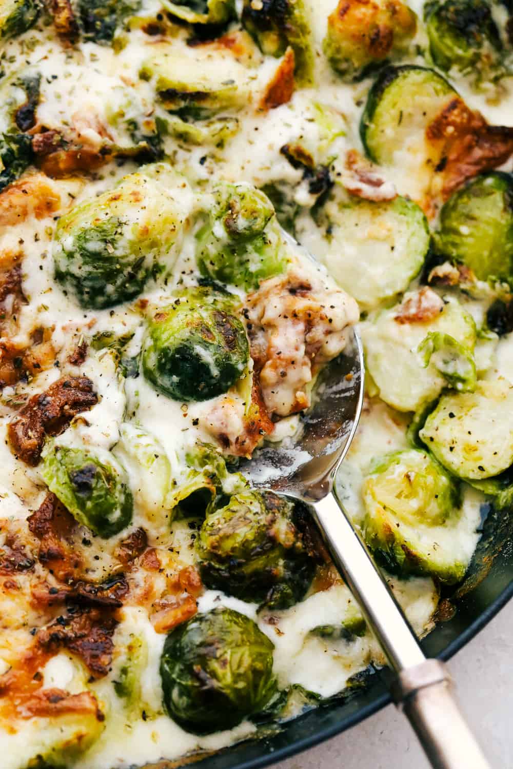 Creamy Parmesan Brussel Sprouts Gratin with Bacon is cheesy, savory and perfect for your holiday meals. Tender crisp brussels sprouts are smothered in a creamy sauce and topped with cheese and crunchy bacon. It's sure to be a crowd pleaser. Cheesy Creamy Parmesan Brussel Sprouts Gratin with Bacon.