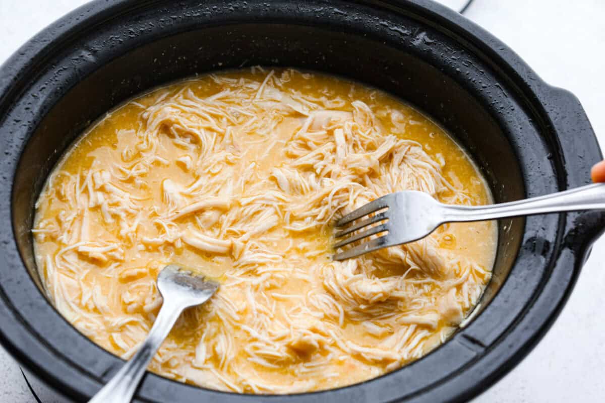 Slow-cooker creamy chicken and broccoli over rice is a super easy, delicious meal the whole family will love! Moist chicken and tender broccoli combine in a cheesy sauce that's absolutely divine.ย Overhead shot of someone shredding chicken with two forks in sauce in the crockpot.