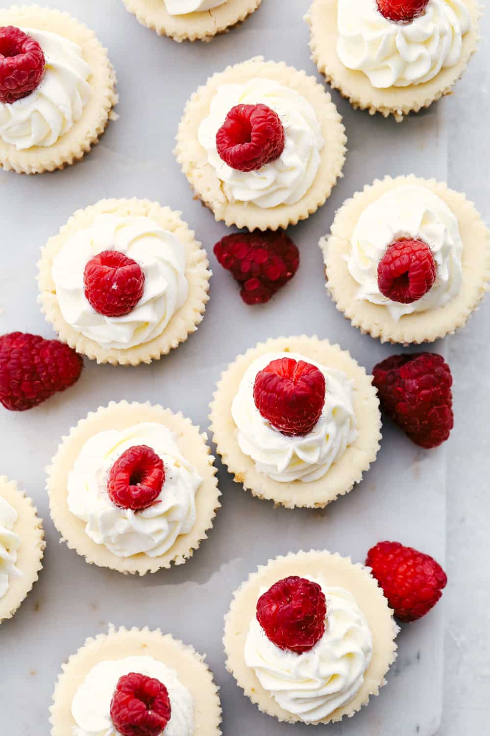 Mini Cheesecakes are a quick and easy way to make decadent desserts bite sized! It has the same buttery sweet crust, and rich creamy filling as a big cheesecake, but in the size you can hold in your hand! Looking down on cheesecake cupcakes topped with whip cream and raspberries.