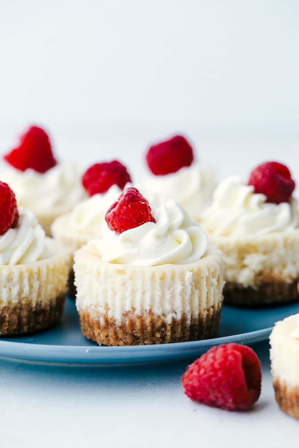 Mini Cheesecakes are a quick and easy way to make decadent desserts bite sized! It has the same buttery sweet crust, and rich creamy filling as a big cheesecake, but in the size you can hold in your hand! Mini cheese cakes on a plate with fresh raspberries.