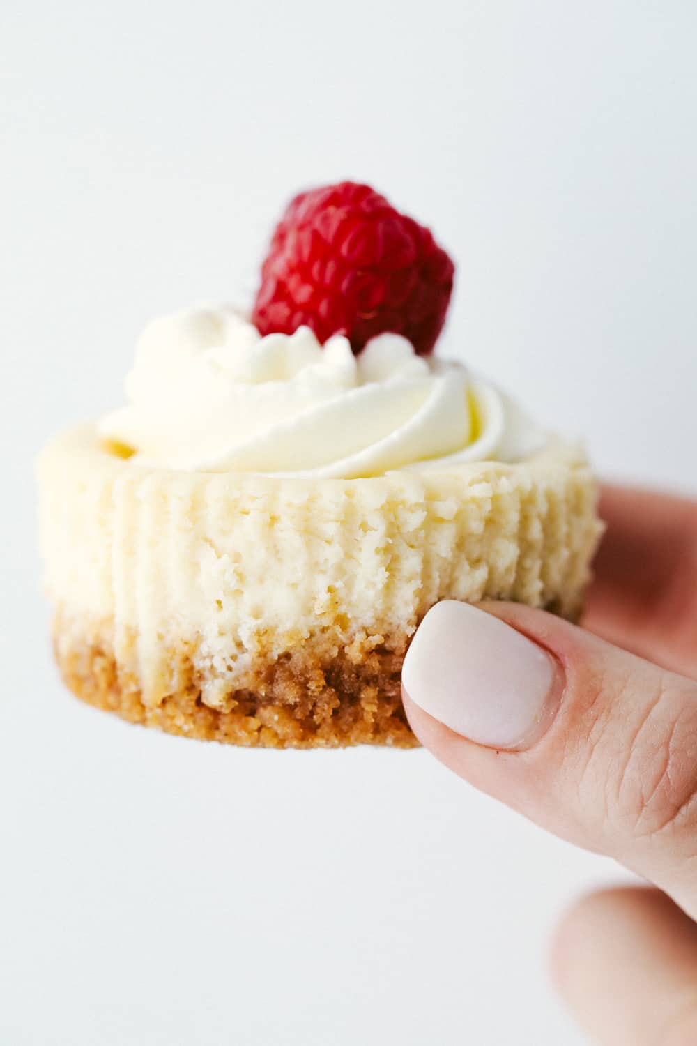 Mini Cheesecakes are a quick and easy way to make decadent desserts bite sized! It has the same buttery sweet crust, and rich creamy filling as a big cheesecake, but in the size you can hold in your hand! Hand holding a mini cheesecake with whipped topping and a raspberry.